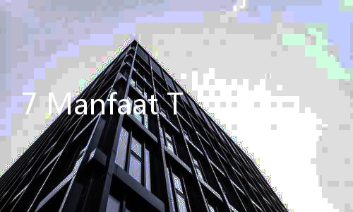 7 Manfaat Timun Suri, Buah Segar yang Wajib Ada di Bulan Ramadan