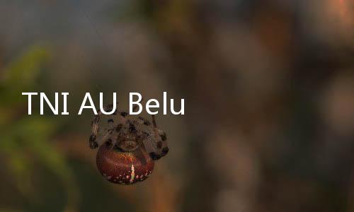 TNI AU Belum Bisa Evakuasi Bangkai 2 Pesawat Tucano yang Jatuh, Ini Kendalanya