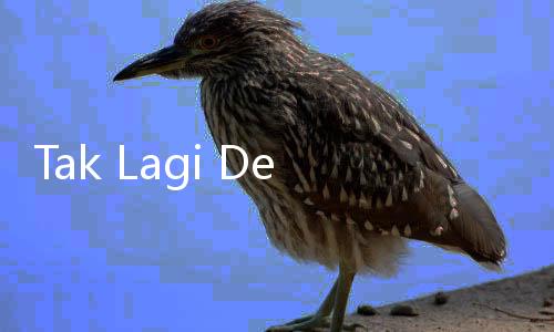 Tak Lagi Dekat, Orang AS Kehilangan 90 Persen Sahabat Lamanya