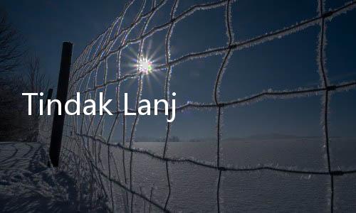 Tindak Lanjuti Kerja Sama Politik, PAN Dan PDI Perjuangan Akan Pertemuan Kedua